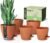 Self Watering Pots for Indoor Plants (5/5.5/6/6.5/8 Inch), Terra Cotta Planters with Water Level Indicator & Drainage,Wicking Pots for Monstera, Herbs & Snake Plant (Terra Cotta, 5/5.5/6/6.5/8 Inch)