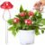 Weysat 4 Pack Glass Self Watering Globes for Indoor Plants Mushroom Watering Devices Bulbs Automatic Plant Waterer Balls Planter Spike for Garden Patio Outdoor Potted Flower Irrigation