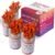 AAwipes Lead Test Kit (320 Rapid Testing Swabs) 30-Second Results. Dip in Water. Home Use for All Surfaces – Painted, Jewelry, Wood [LS320]