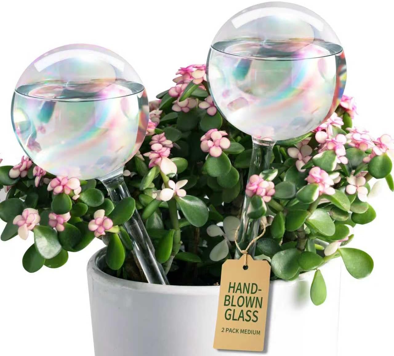 Extra-Thick Glass Plant Watering Globes, Iridescent Hand-Blown, 2 Pack