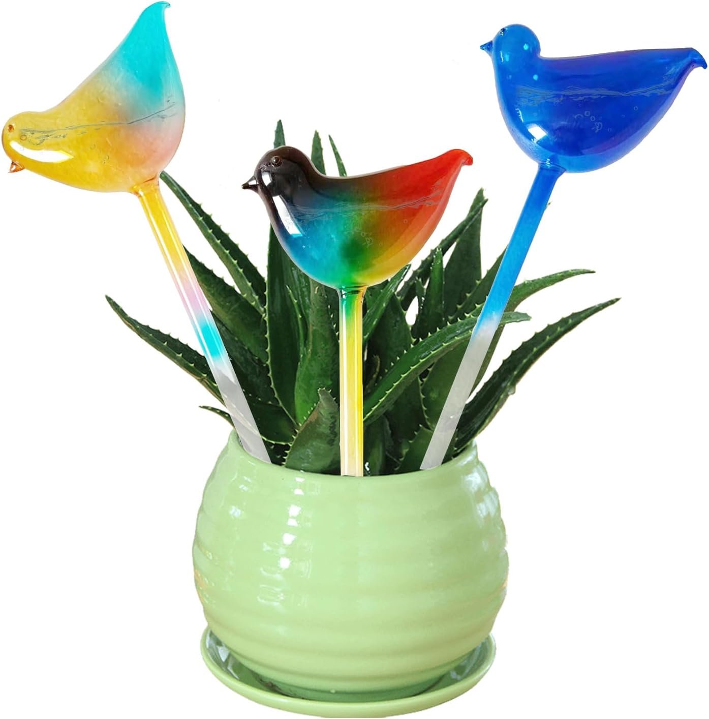 Glass Plant Watering Globes, Self Watering Star, 3 Pack