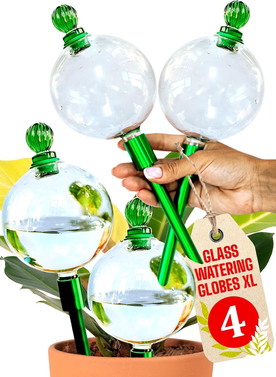 4pc 16 Oz Plant Watering Globes Large Self Watering Globes For Indoor Plant