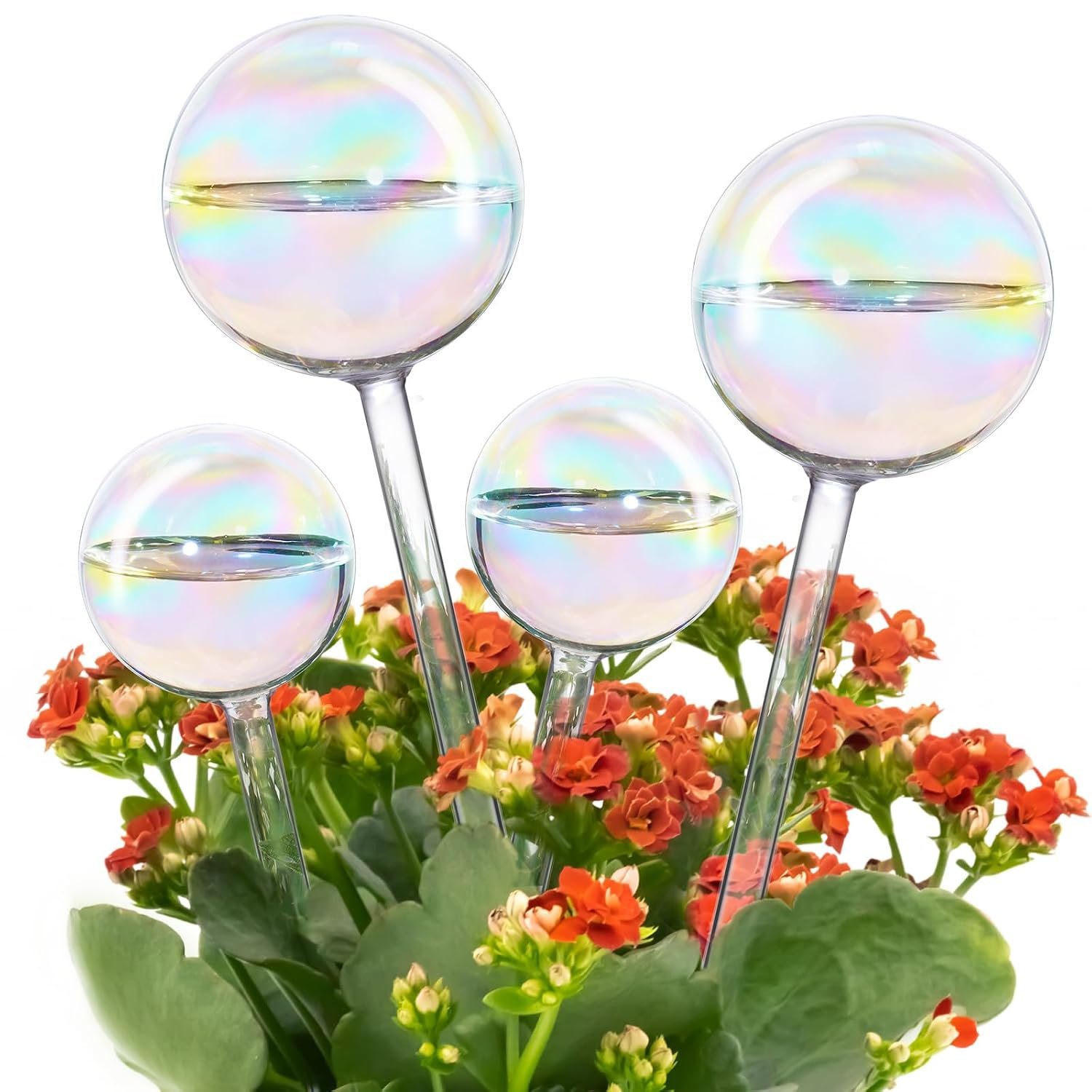 Tomorotec Glass Plant Watering Globes, Self Watering Spikes 2 Large+2 Small