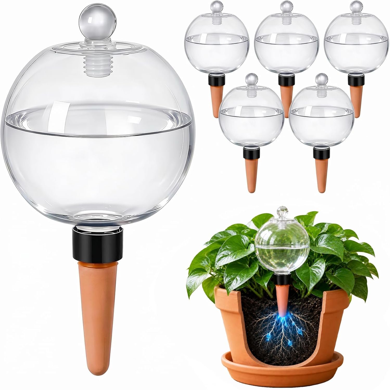 6 Pack 26 oz Extra Large Plant Self Watering Globes to 3 Weeks Watering