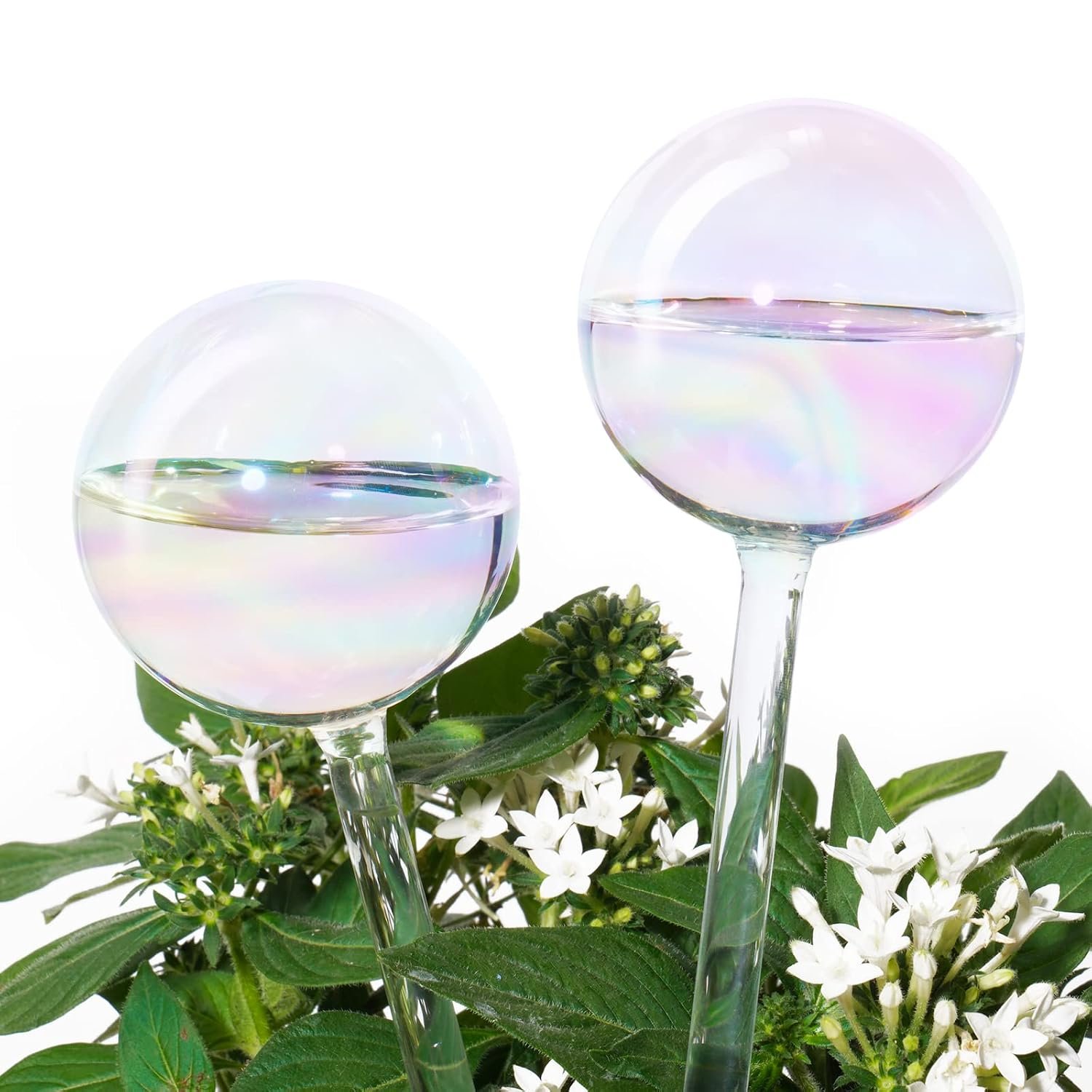 Tomorotec 2Pcs Rainbow Glass Plant Watering Globes, Self Watering Spikes