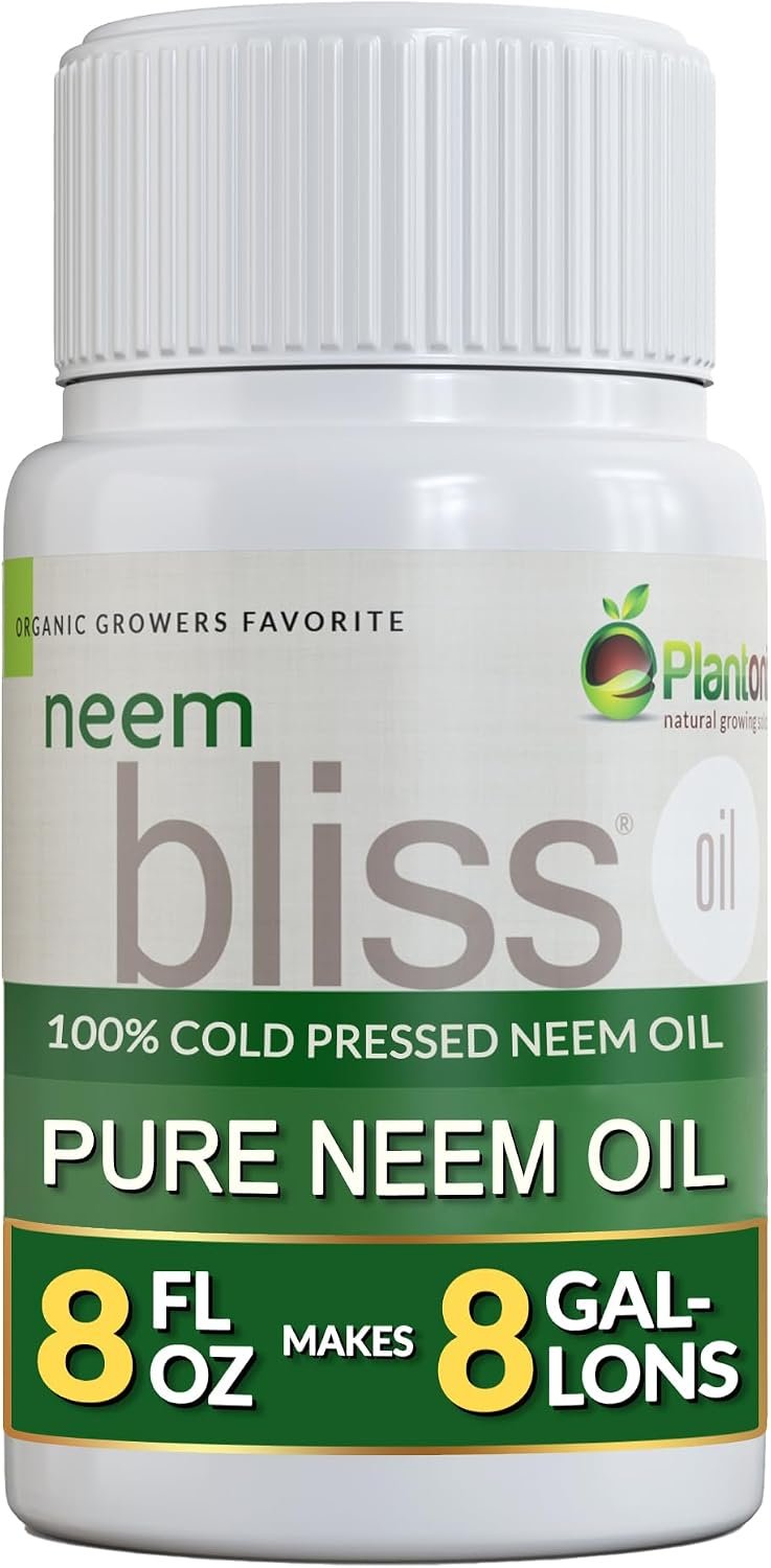 Neem Bliss (8 Fl Oz) – Pure Neem Oil Concentrate – 100% Cold Pressed Neem Oil – All-Natural Neem Oil Concentrate – Pure Neem Oil Extract – Unrefined Neem Oil for Hair – Neem Seed Oil Concentrate