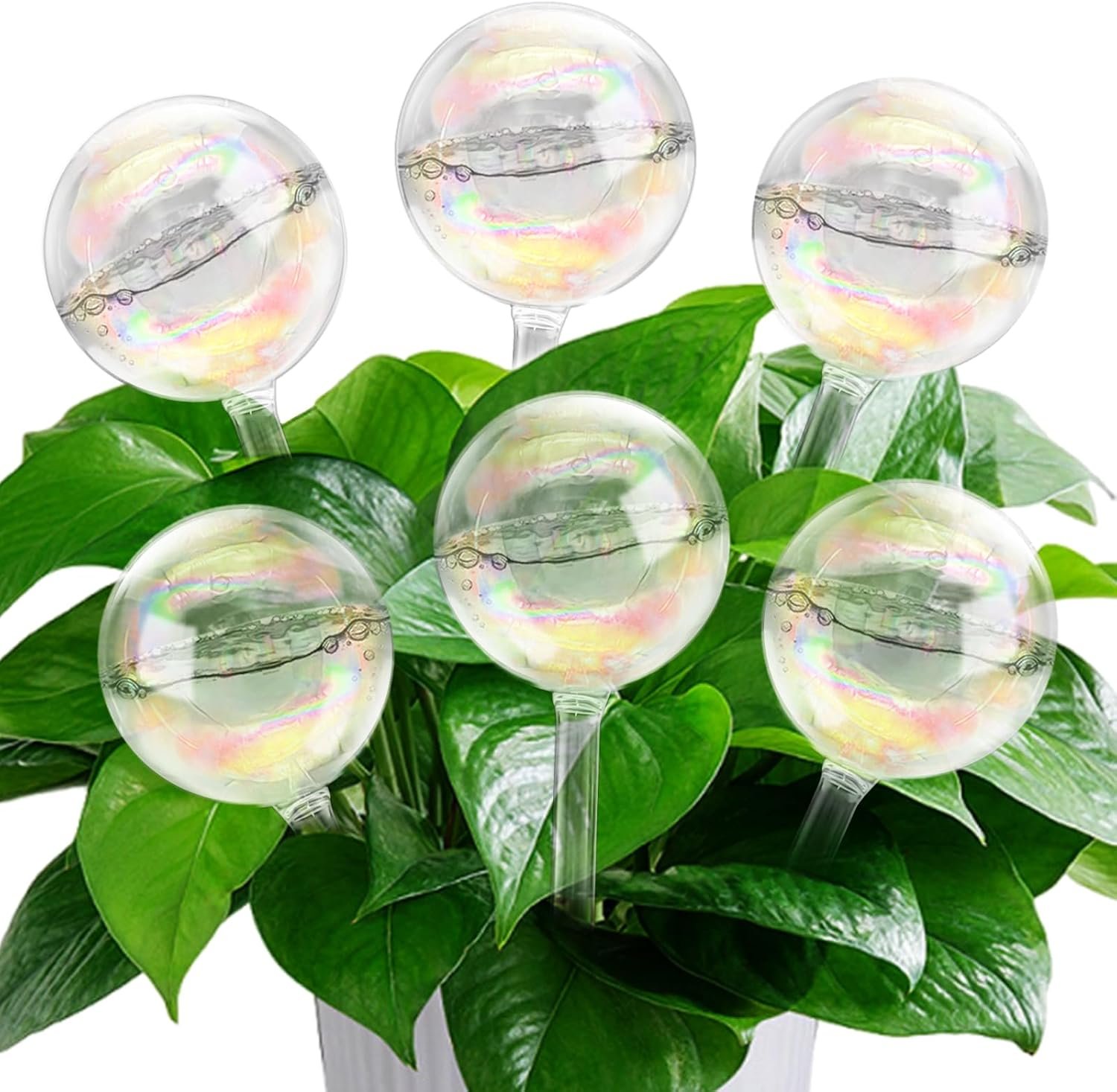 6 Pack Large Plant Watering Globes,Iridescent Rainbow Self-Watering Bulbs