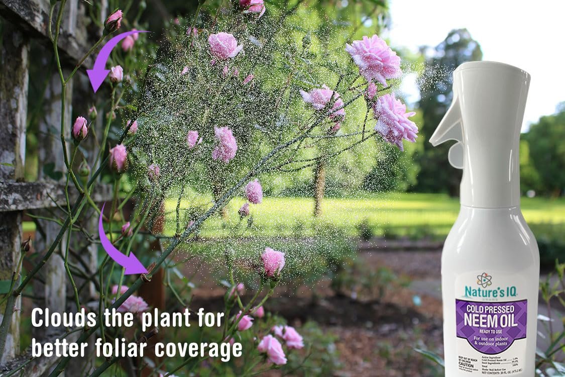 Nature’s IQ Cold Pressed Neem Oil w/Spray Mist Technology for More Complete foliar Coverage. Indoor and Outdoor Plant Protection. Ready to Use.