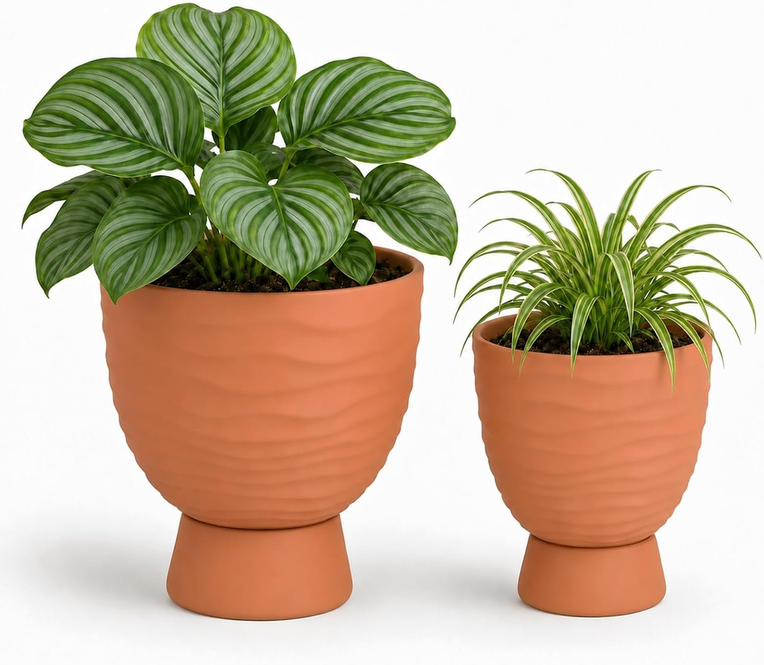 vensovo Terracotta Self Watering Plant Pots, 6 and 8 Inch with Saucers