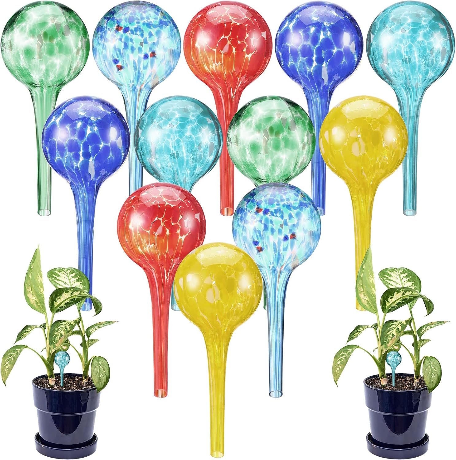 Eccliy 12 Pcs Self Watering Globes for Plants Glass Automatic Watering Bulb