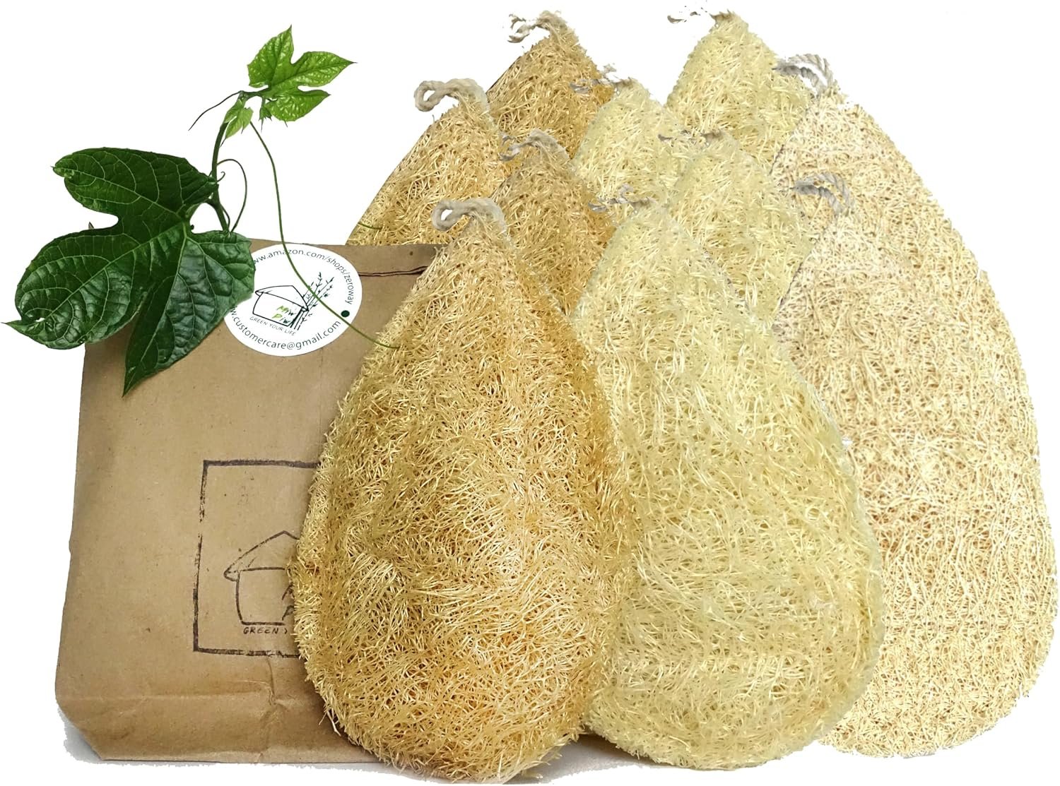 Natural Loofah Dish Sponge 10PCS Dishwashing Scouring Pad Kitchen