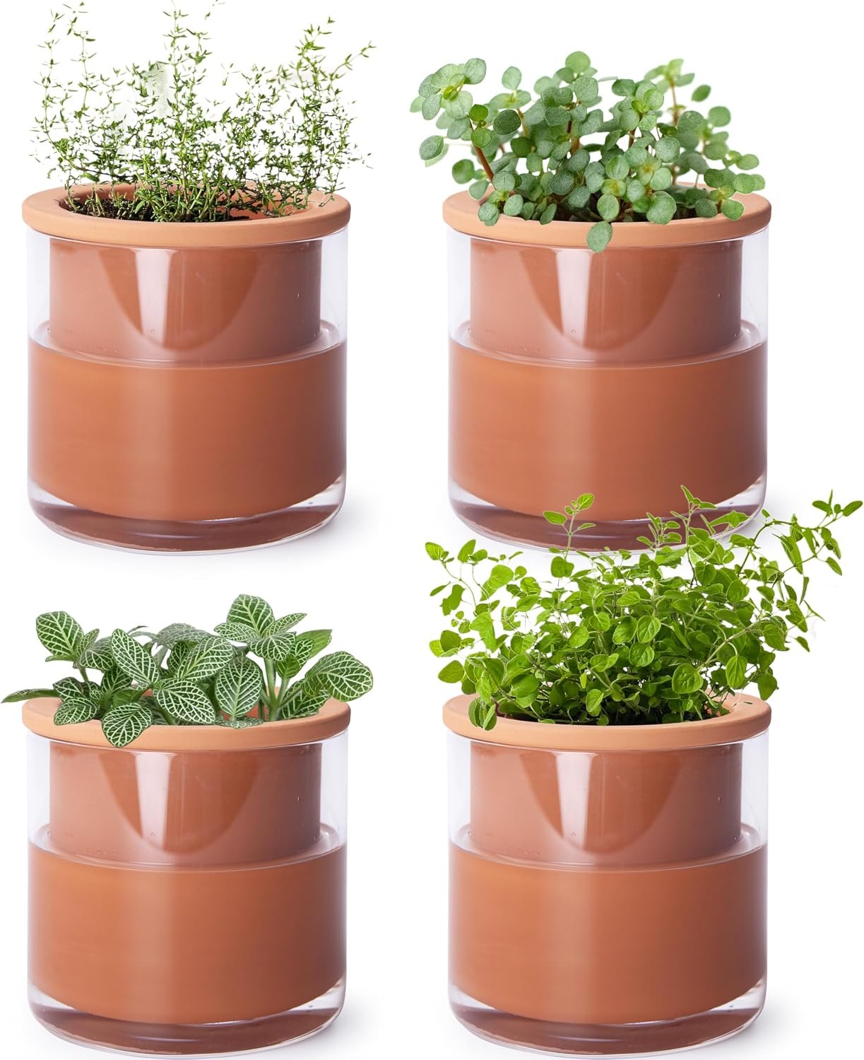 Phoenix Vine 4 Inch Self Watering Plants Pot, Design Terracotta Pot for Plants, Indoor Cylinder Terra Cotta Planter with Glass Vase, Set of 4, 51-A-E-4