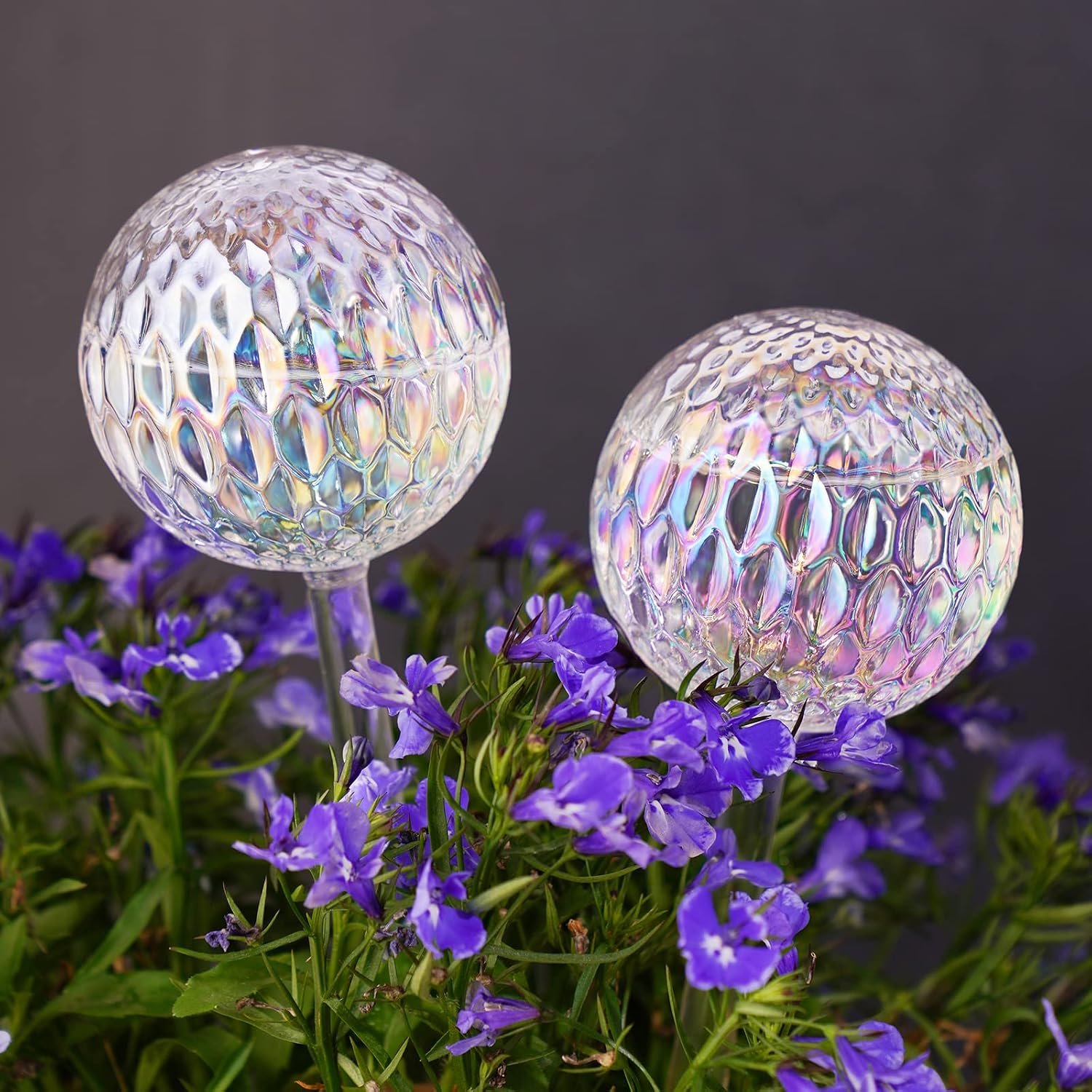 Tomorotec Glass Plant Self Watering Globes 2-Pack Pearl Luster Iridescent