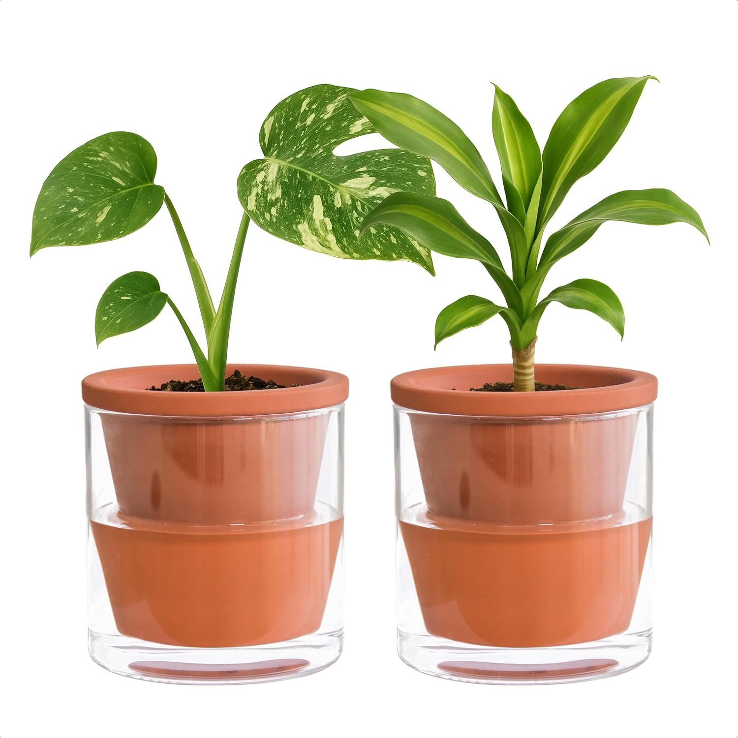 D’vine Dev Self Watering Terracotta Planter Pot, 4 in, 2-Pack, 37-Y-A-1