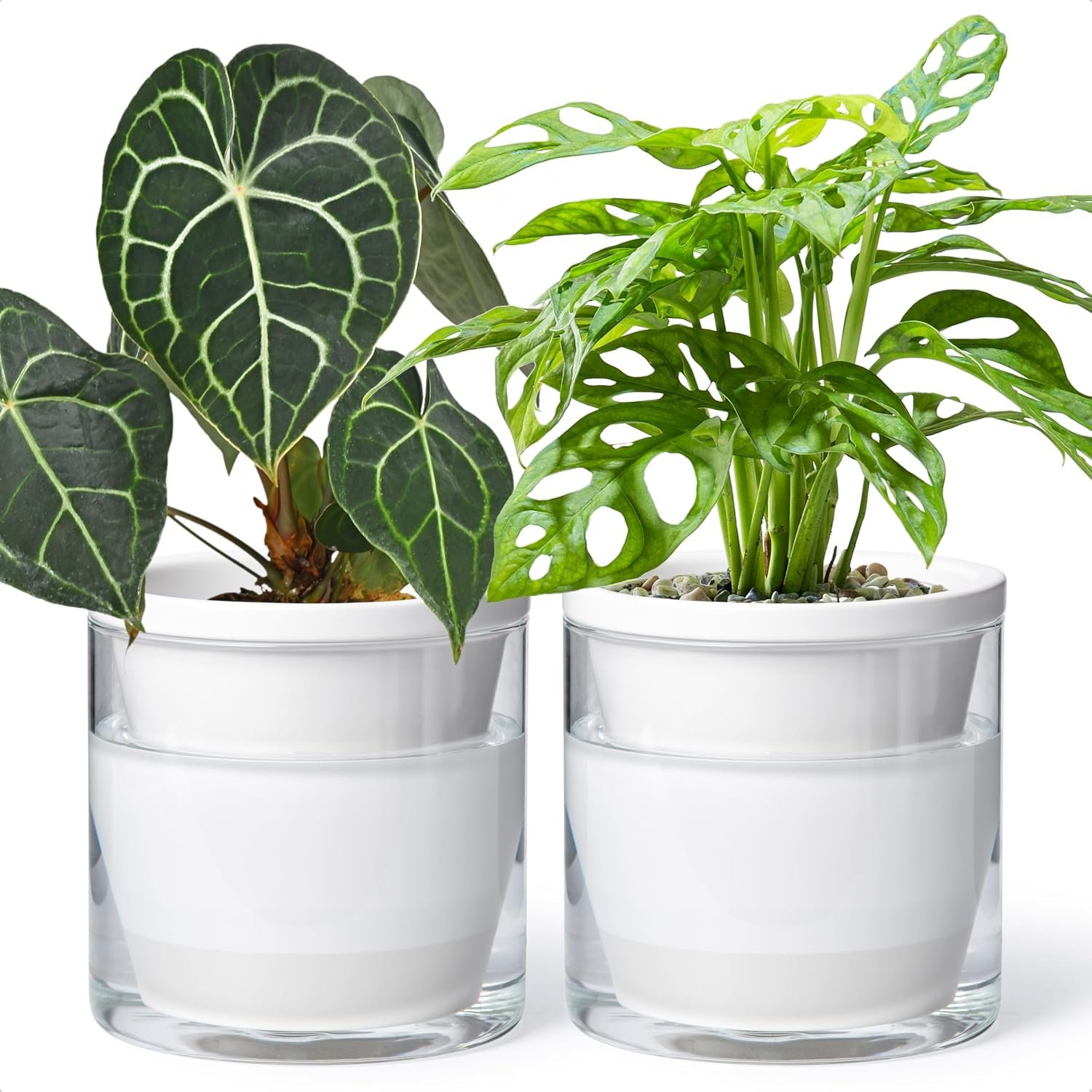D’vine Dev Self-Watering White Terracotta Planter, 6 in, 2-Pack, 37-Y-B-2