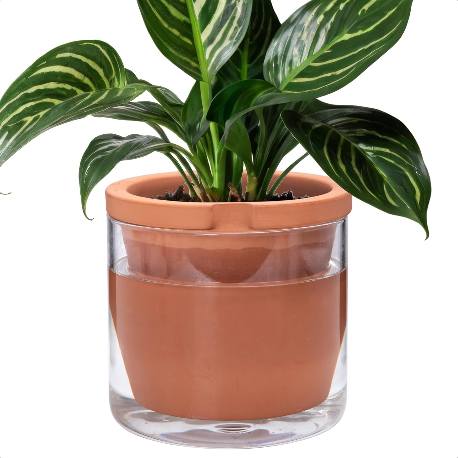D’vine Dev Self Watering Terracotta Planter Pot, 8 in, 37-X-C-1