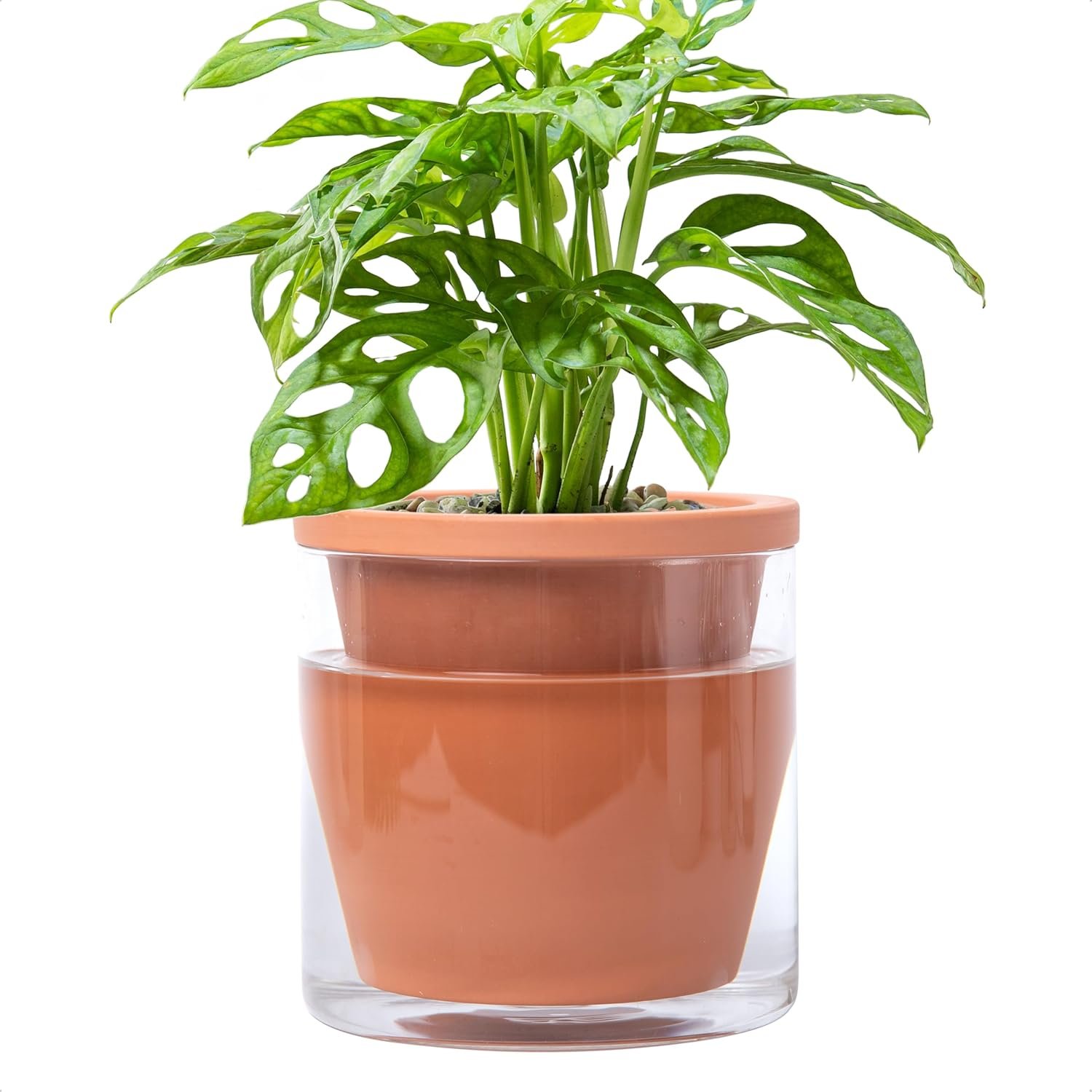 D’vine Dev Self Watering Terracotta Planter Pot, 6 in, 37-X-B-1