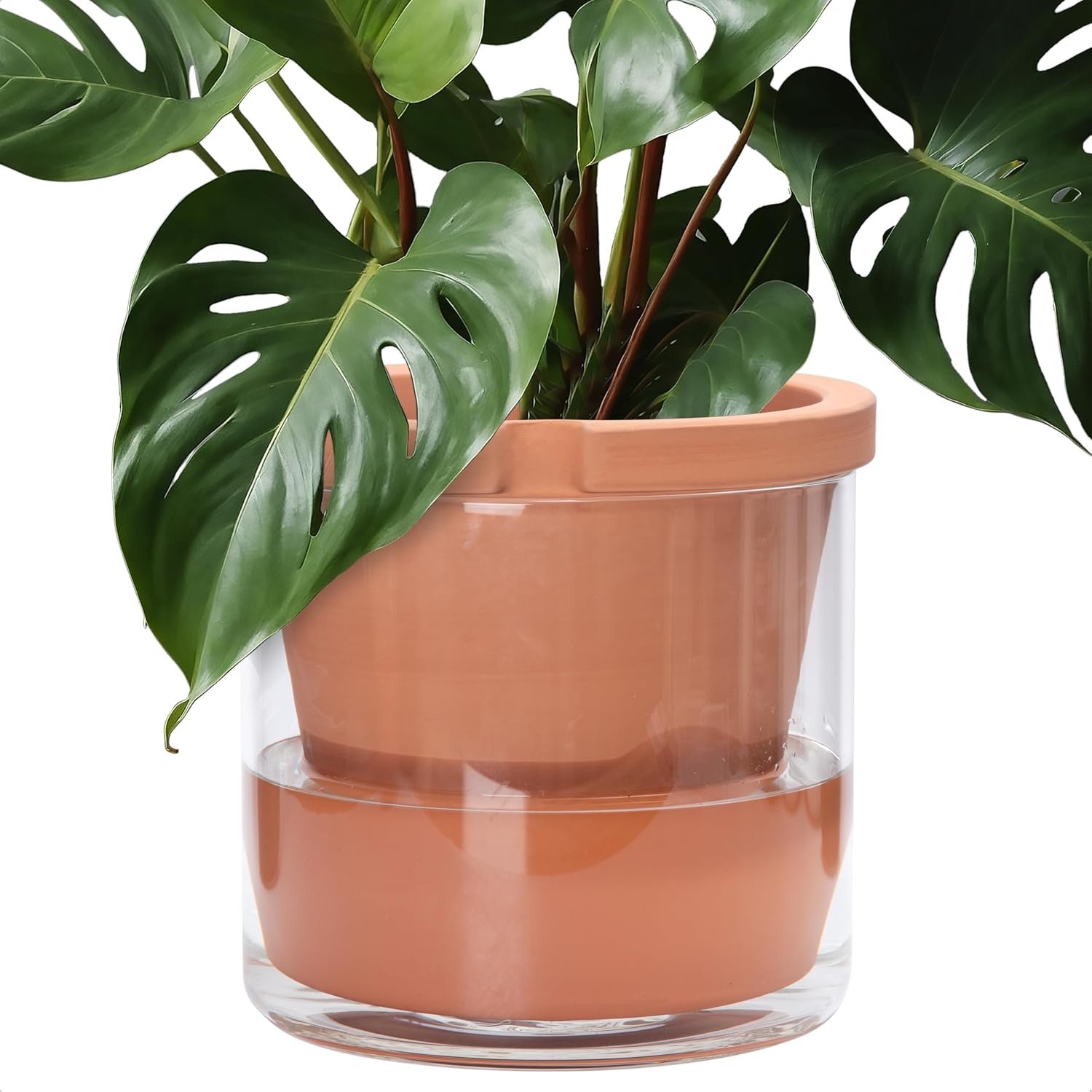 D’vine Dev Self Watering Terracotta Planter Pot, 10 in, 37-X-D-1